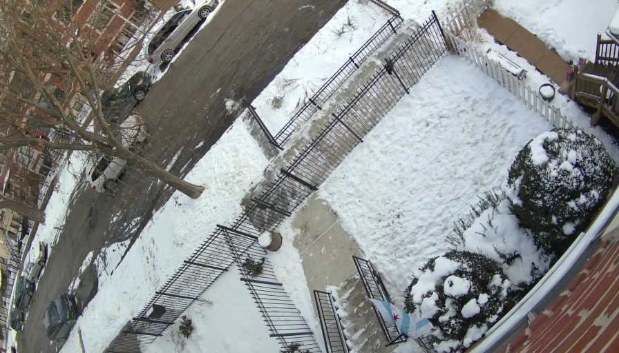 Reolink Camera Two_01_Reolink Home Hub One_20260131152905.jpg